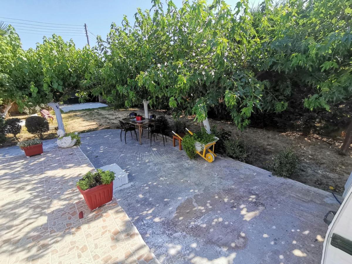 Apartment The Green Garden Zakynthos